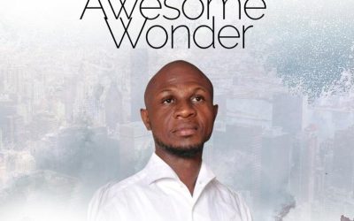 Peter John – Awesome Wonder